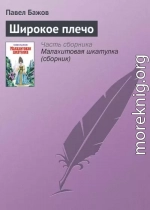 Широкое плечо