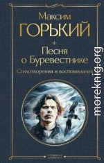 Песня о Буревестнике. Стихотворения и воспоминания