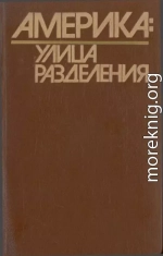 Америка: Улица Разделения