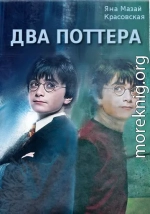 Два Поттера