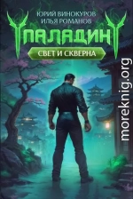 Паладин. Свет и Скверна IV