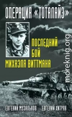 Операция «Тоталайз». Последний бой Михаэля Виттмана