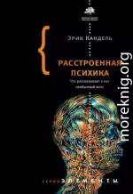 Расстроенная психика. Что рассказывает о нас необычный мозг