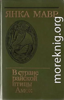 В стране райской птицы