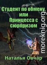 Студент по обмену, или Принцесса с сюрпризом