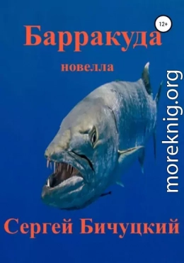 Барракуда