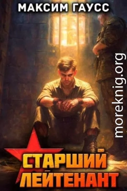 Ст. лейтенант. Назад в СССР. Книга 12