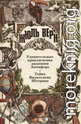 Удивительные приключения дядюшки Антифера. Тайна Вильгельма Шторица: Романы