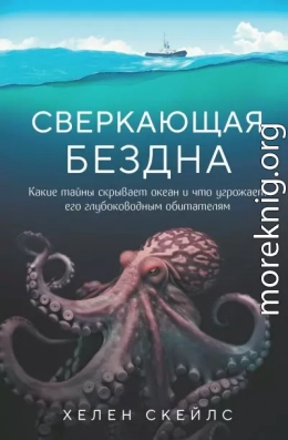 Сверкающая бездна. Какие тайны скрывает океан и что угрожает его глубоководным обитателям