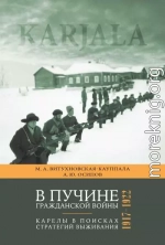 В пучине гражданской войны. Карелы в поисках стратегий выживания. 1917–1922