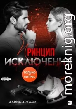 Принцип исключения