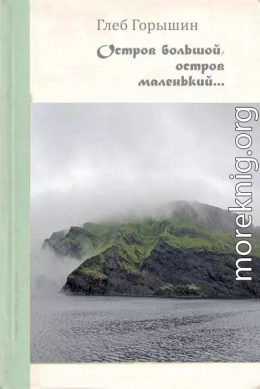 Остров большой, остров маленький