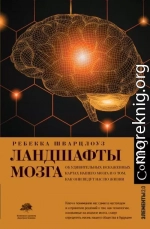 Ландшафты мозга. Об удивительных искаженных картах нашего мозга и о том, как они ведут нас по жизни