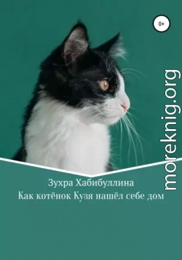 Как котёнок Кузя нашёл себе дом