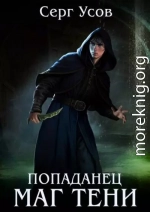 Попаданец. Маг Тени. Книга 12