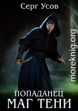 Попаданец. Маг Тени. Книга 12