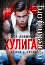 Мой любимый хулиган