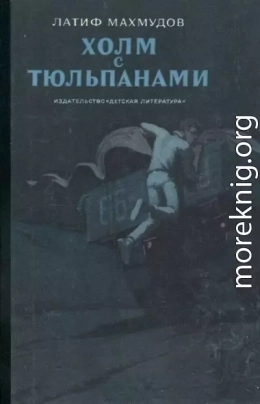 Холм с тюльпанами