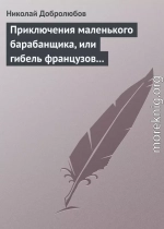 Приключения маленького барабанщика, или гибель французов в России в 1812 году