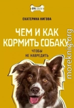 Чем и как кормить собаку, чтобы не навредить