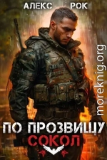 По прозвищу «Сокол». Том 1