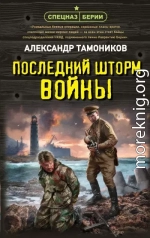 Последний шторм войны
