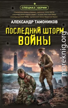 Последний шторм войны