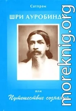 Шри Ауробиндо, или Путешествие Сознания