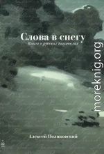 Слова в снегу: Книга о русских писателях