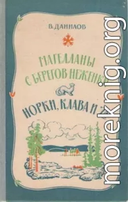 Норки, Клава и 7