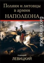 Поляки и литовцы в армии Наполеона