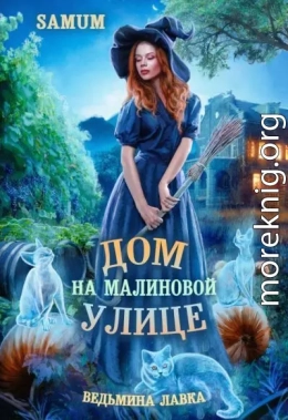 Дом на Малиновой улице (СИ)