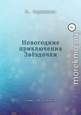 Новогодние приключения Звёздочки