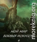 Мой мир боевых искусств 6