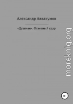 «Душман». Ответный удар