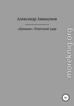 «Душман». Ответный удар