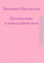 Путешествие в новогоднюю ночь