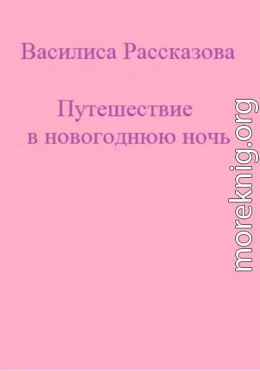 Путешествие в новогоднюю ночь