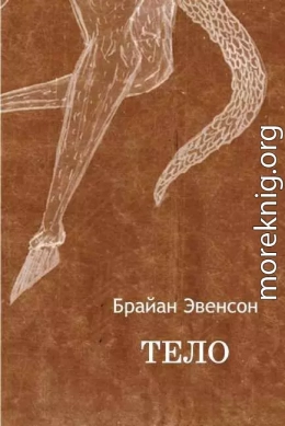 Тело