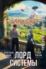 Лорд Системы 25
