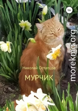 Мурчик