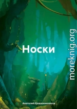 Носки