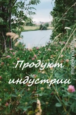 Продукт индустрии (СИ)
