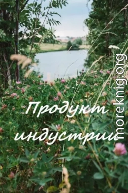 Продукт индустрии (СИ)