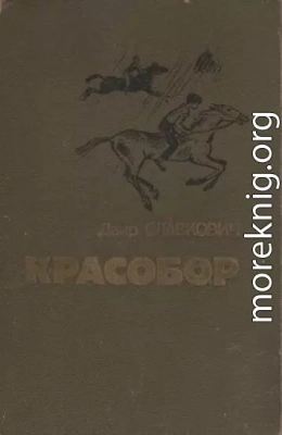 Алесик едет в Красобор