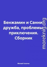 Бенжамин и Санни: дружба, проблемы, приключения. Сборник