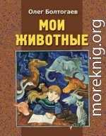 Осенний полёт