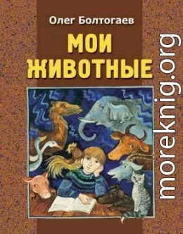 Мои помощники