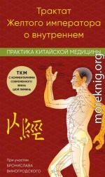 Трактат Желтого императора о внутреннем. Практика китайской медицины