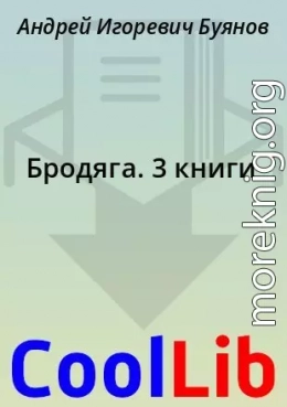 Бродяга. 3 книги